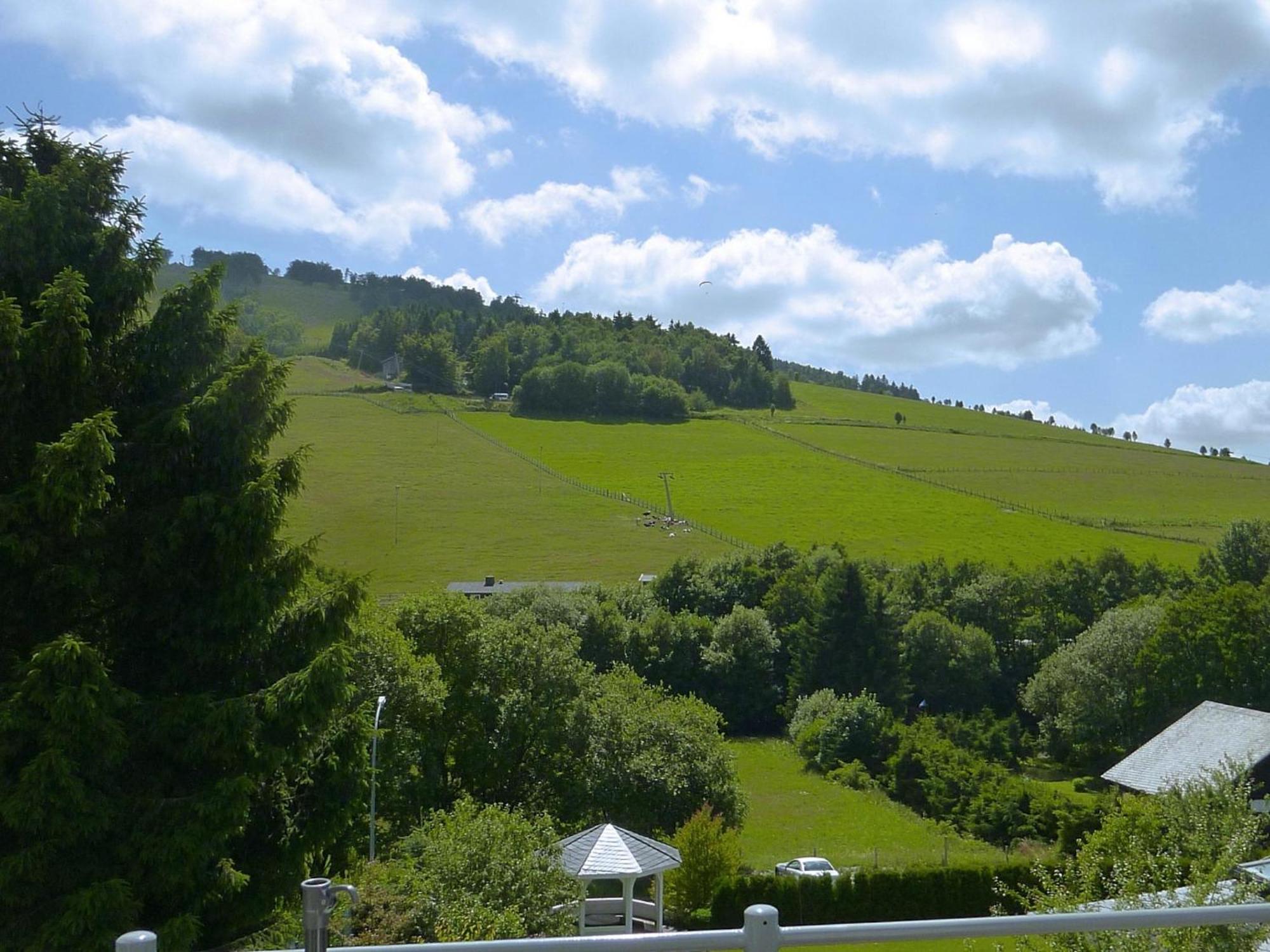 Modern Apartment In Willingen Near Ski Lift ภายนอก รูปภาพ